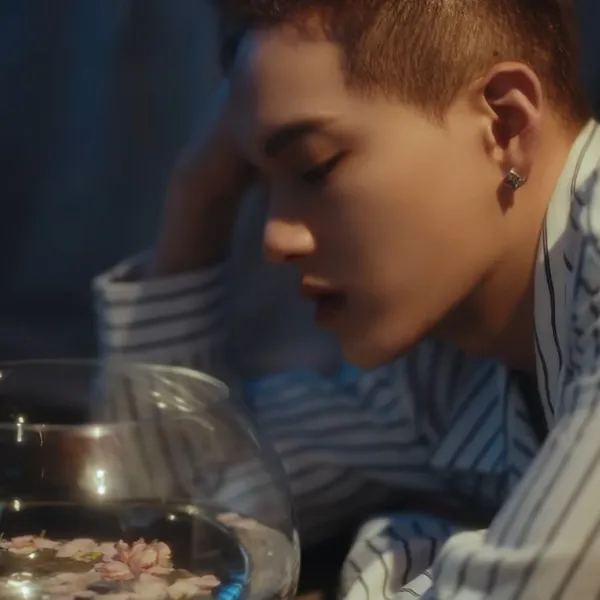 Idol_Top_Banner
