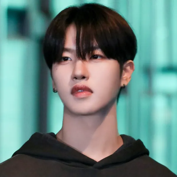 Idol_Top_Banner