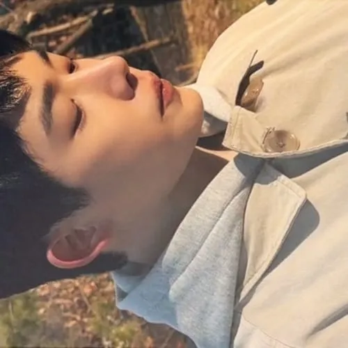 Idol_Top_Banner