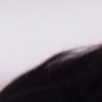 Idol_Top_Banner