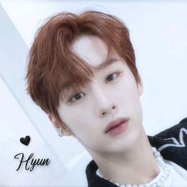 Idol_Top_Banner