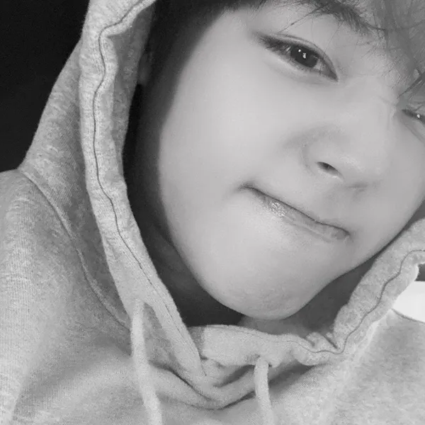Idol_Top_Banner