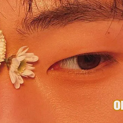 Idol_Top_Banner