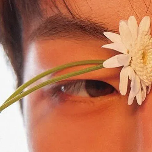 Idol_Top_Banner
