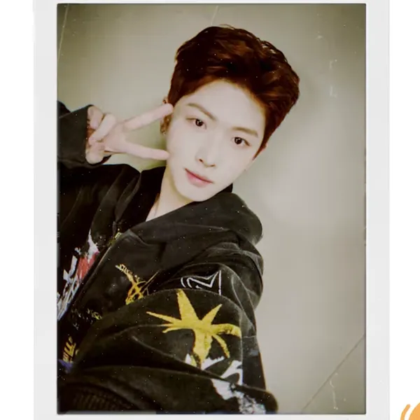 Idol_Top_Banner