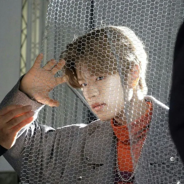 Idol_Top_Banner