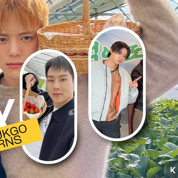 Idol_Top_Banner