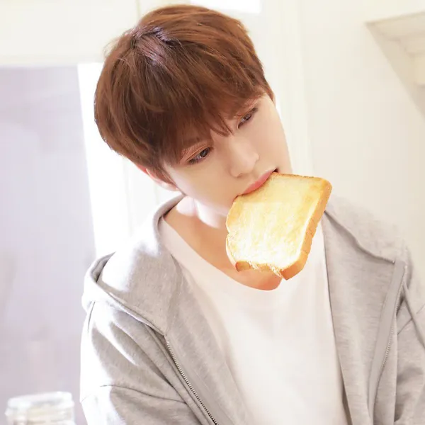 Idol_Top_Banner