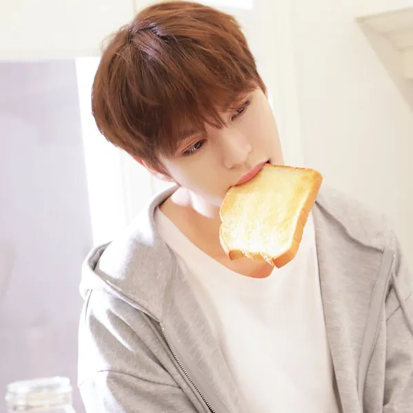 Idol_Top_Banner