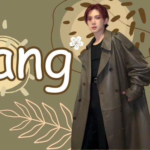 Idol_Top_Banner