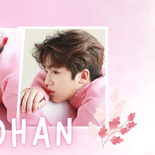 Idol_Top_Banner