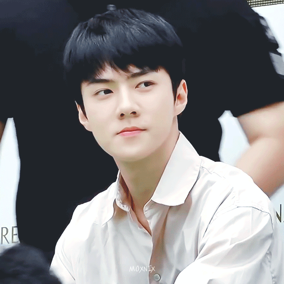 Idol_Top_Banner