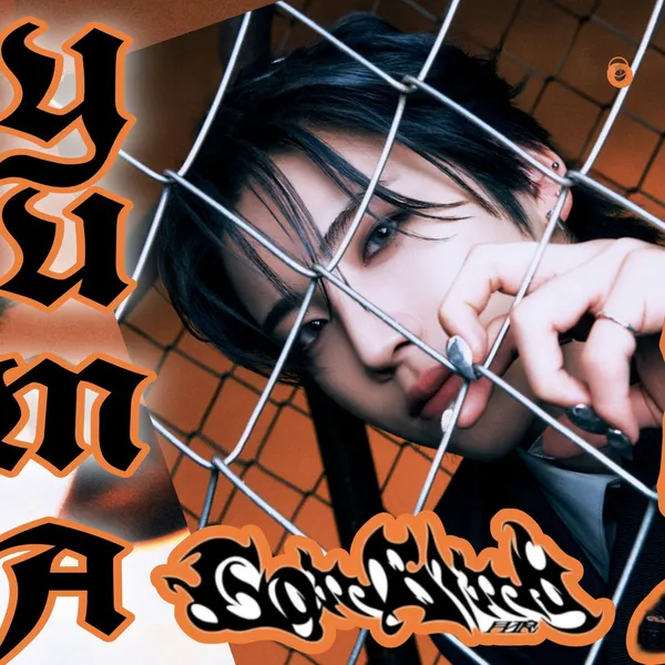Idol_Top_Banner