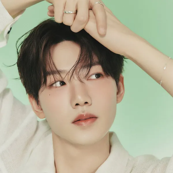 Idol_Top_Banner