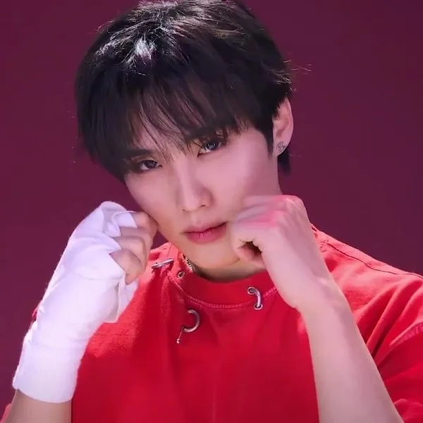 Idol_Top_Banner