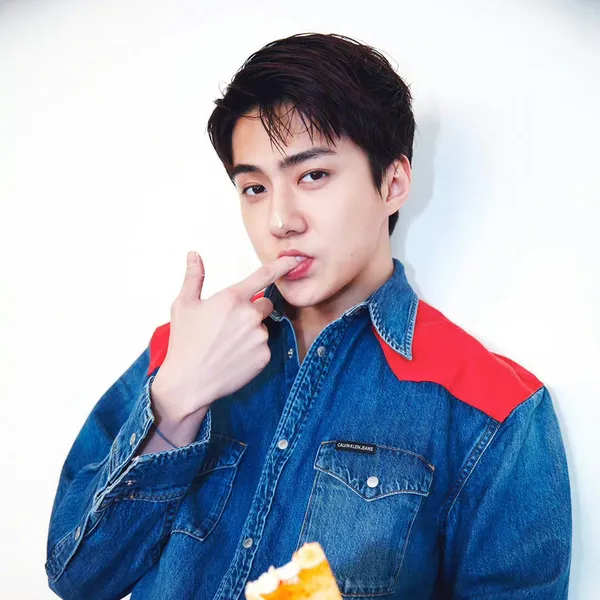 Idol_Top_Banner