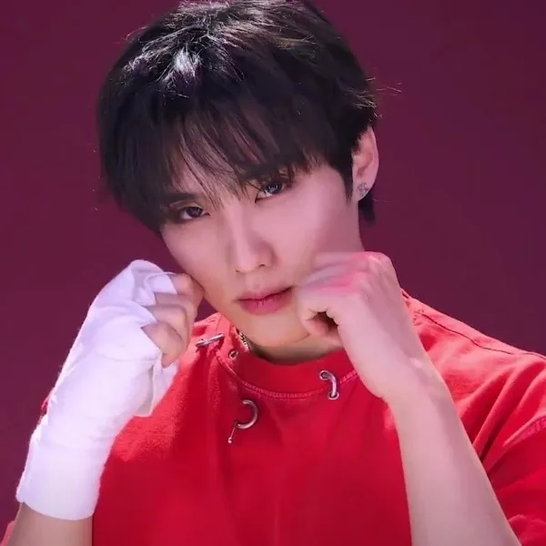 Idol_Top_Banner