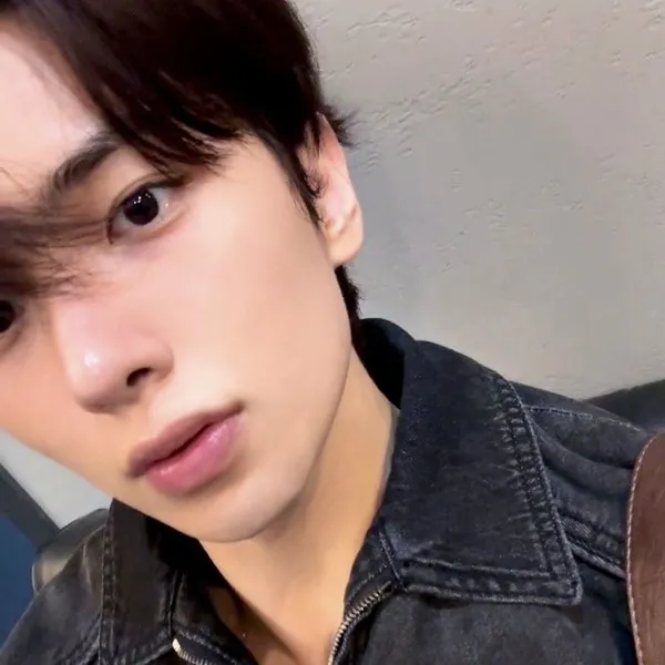 Idol_Top_Banner