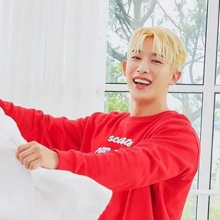 Idol_Top_Banner
