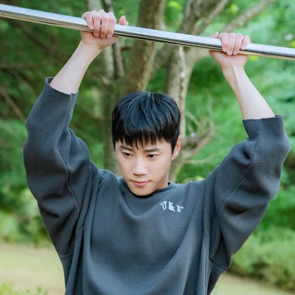 Idol_Top_Banner