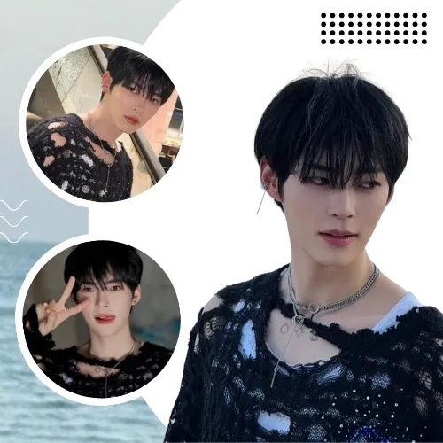 Idol_Top_Banner