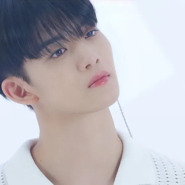 Idol_Top_Banner