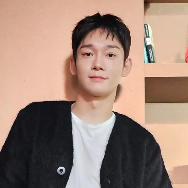 Idol_Top_Banner