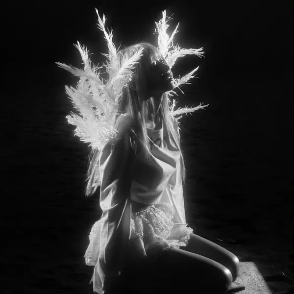 Idol_Top_Banner