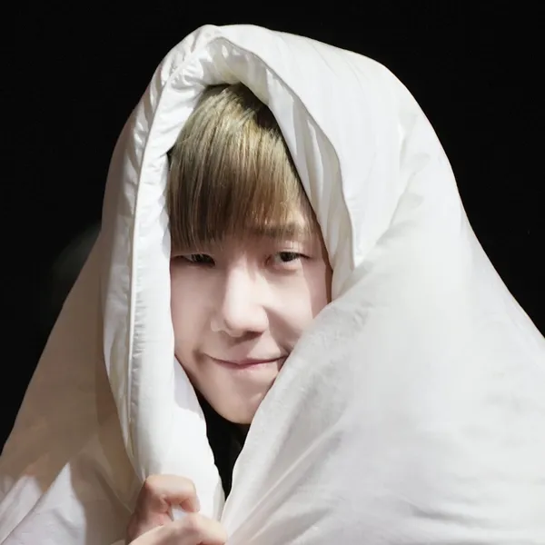 Idol_Top_Banner