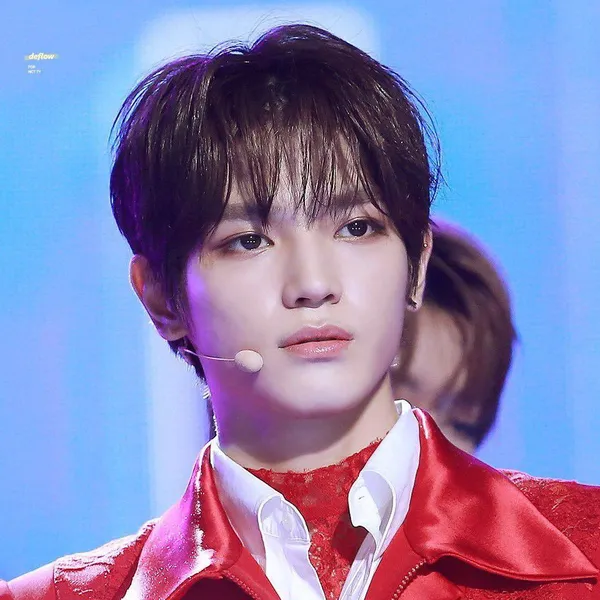 Idol_Top_Banner