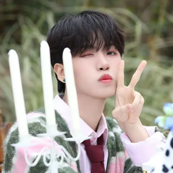 Idol_Top_Banner