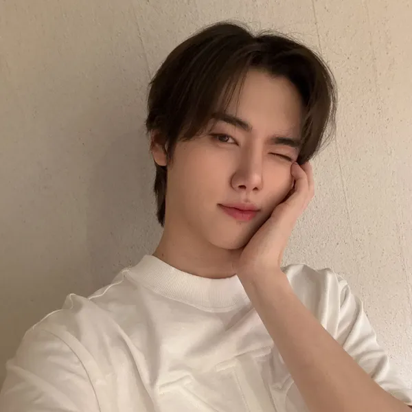 Idol_Top_Banner
