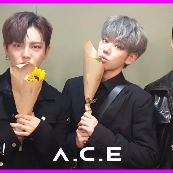 Idol_Top_Banner