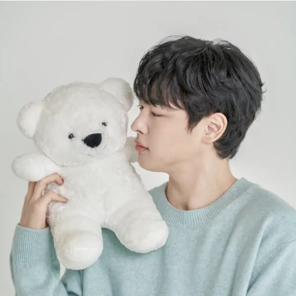 Idol_Top_Banner