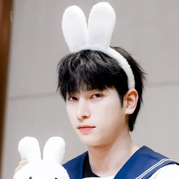 Idol_Top_Banner