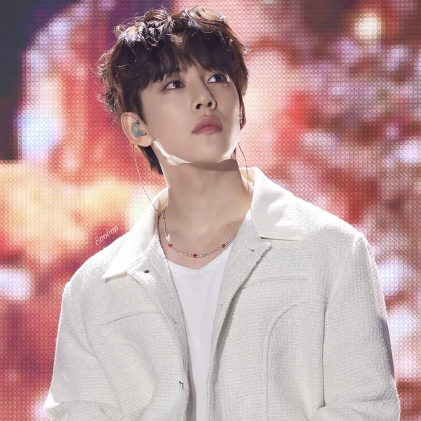Idol_Top_Banner