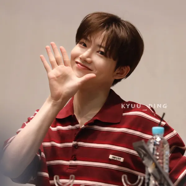 Idol_Top_Banner