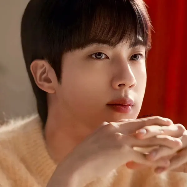 Idol_Top_Banner