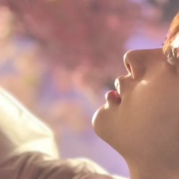 Idol_Top_Banner