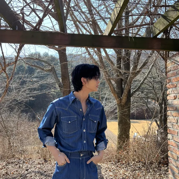 Idol_Top_Banner