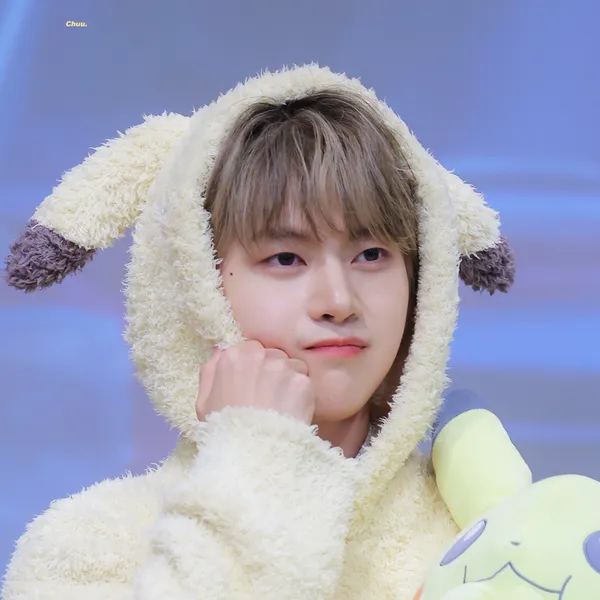 Idol_Top_Banner