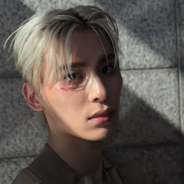 Idol_Top_Banner