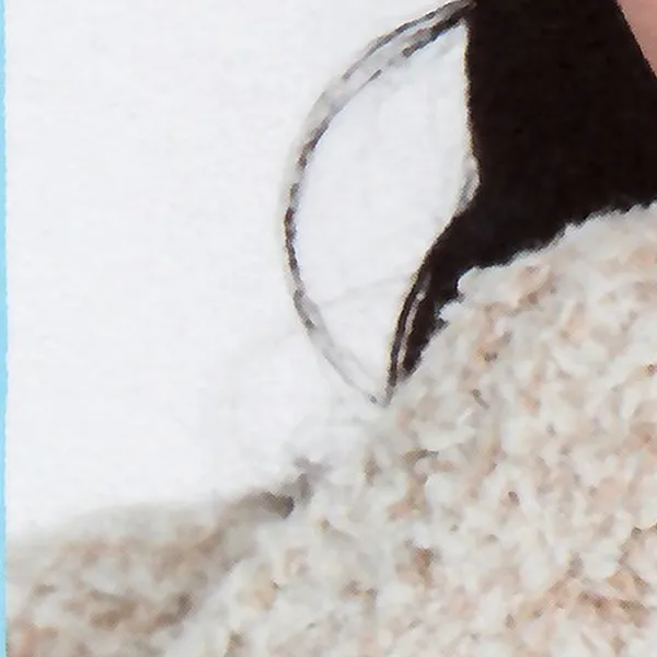 Idol_Top_Banner