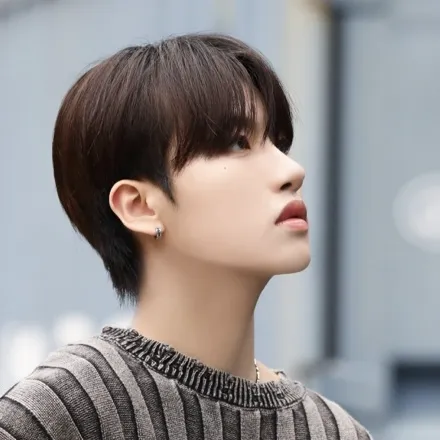 Idol_Top_Banner