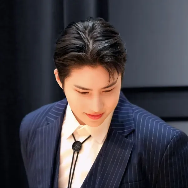 Idol_Top_Banner
