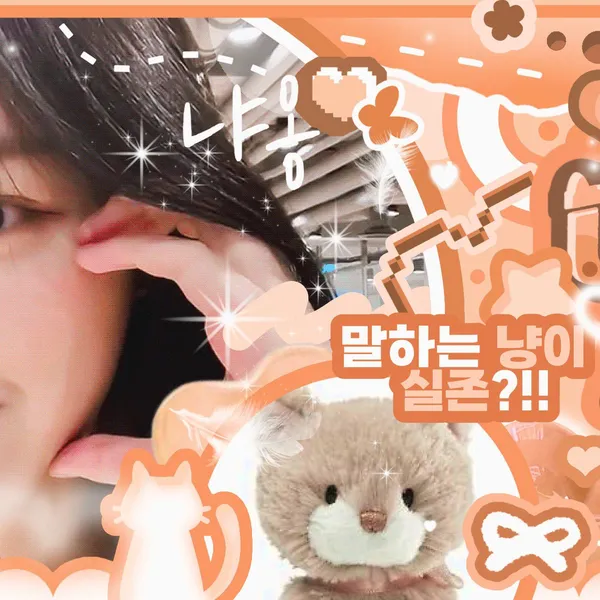 Idol_Top_Banner