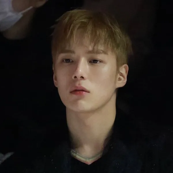 Idol_Top_Banner