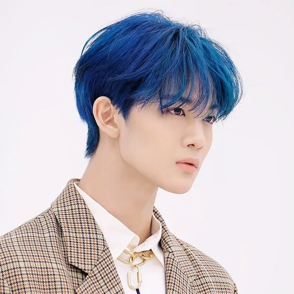 Idol_Top_Banner