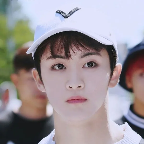 Idol_Top_Banner