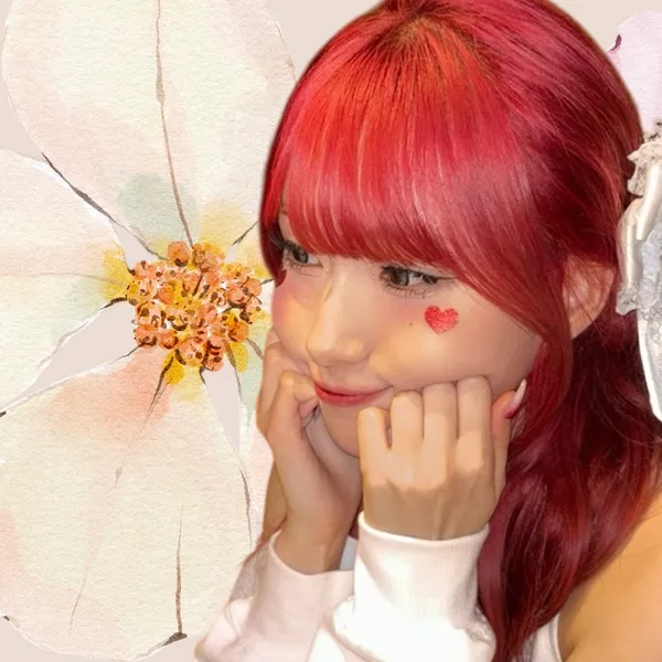 Idol_Top_Banner